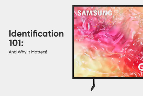 Identification 101 (And Why It Matters!)