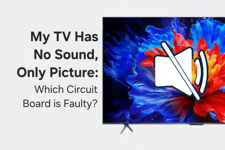 My TV Has No Sound, Only Picture: Which Circuit Board Is Faulty?
