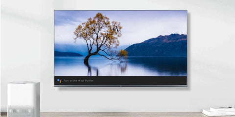 2019 Xiaomi Mi TV 4S (2019) 43 43