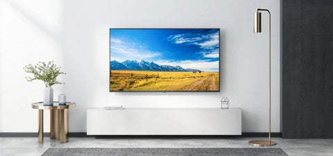 2019 Xiaomi Mi TV 4X Pro 55 55