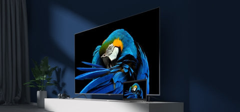 2019 Xiaomi Mi TV 4S (2019) 75 75