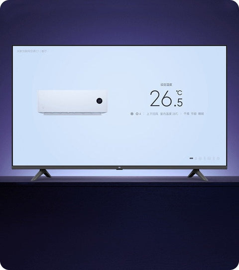 2019 Xiaomi Mi TV E55C 55