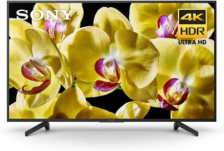 2019 Sony XBR-65X800G 65"