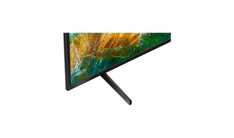 2020 Sony XBR-55X800H 55