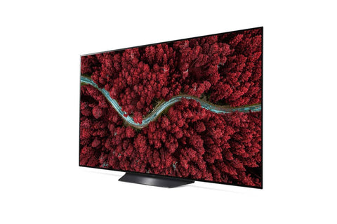 2020 LG OLED55BXPUA 55