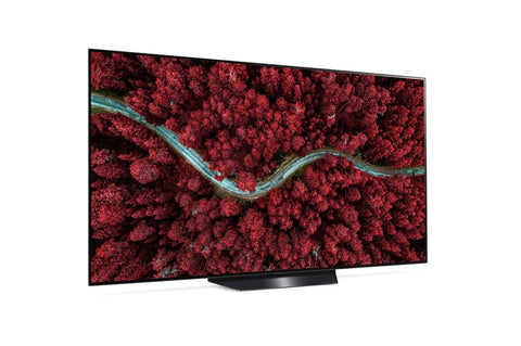 2020 LG OLED55BXPUA 55