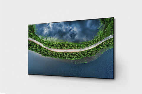 2020 LG OLED48CX 48