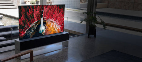 2020 LG OLED65RXPUA 65"