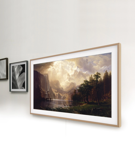 2020 Samsung QN55LS03T 55"