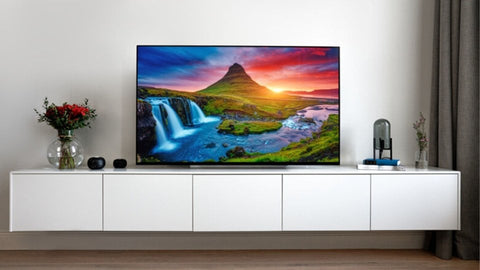 2019 LG OLED55E9PLA 55