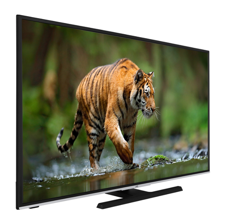 2019 JVC LT-55VU6955 55"