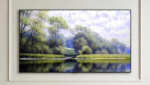 2021 LG OLED55G1LA 55