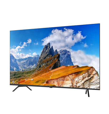 2021 Metz Blue 55MUC6100 55"